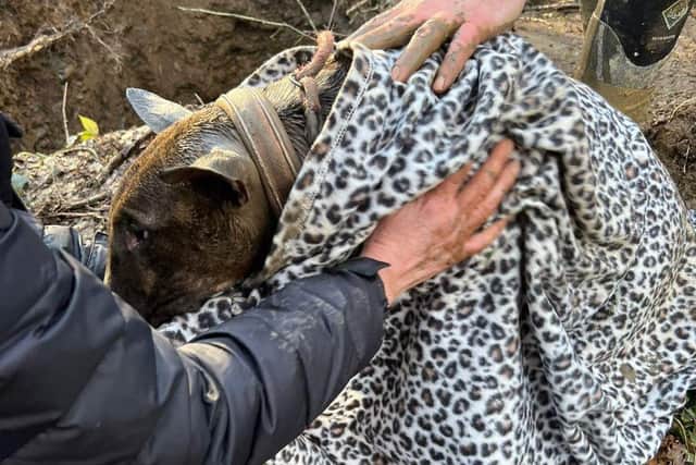 The dog was eventually rescued after an 18-hour mission to save him