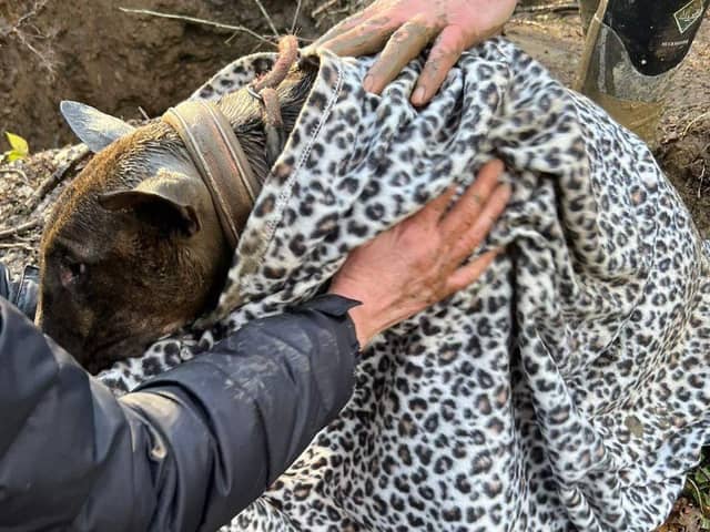 The dog was eventually rescued after an 18-hour mission to save him