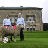 Laura Clark, who runs Sledmere House Rare Breeds Farm and has just won at Masham Sheep Fair for the 5th time in succession with her Leicester Longwool sheep.
Pictured Laura's mum Helen, with champion Leicester Longwool Eric.
