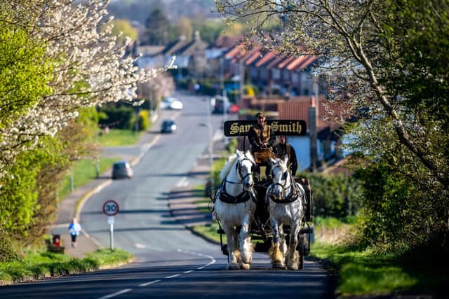 Simon Crook, Stable Manager and Tom Bedford, Drayman for Samuel Smith Brewery in Tadcaster, heading along Stutton Road, Tadcaster with thier Shire Horses Prince, 12, and Humphrey, eight, for deliveries in the village of Stutton in 2020.