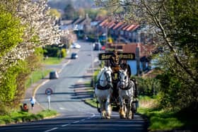 Simon Crook, Stable Manager and Tom Bedford, Drayman for Samuel Smith Brewery in Tadcaster, heading along Stutton Road, Tadcaster with thier Shire Horses Prince, 12, and Humphrey, eight, for deliveries in the village of Stutton in 2020.