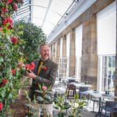 Wentworth Woodhouse heads gardener Scott Jamieson in the restored Camellia House on  the estate,  photographed by Tony Johnson for The Yorkshire Post.  22nd March 2024