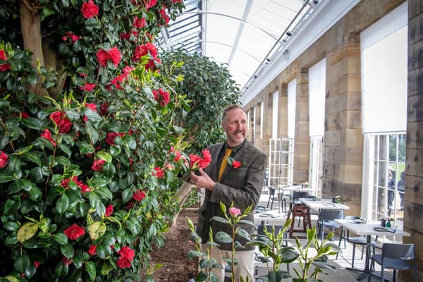 Wentworth Woodhouse heads gardener Scott Jamieson in the restored Camellia House on  the estate,  photographed by Tony Johnson for The Yorkshire Post.  22nd March 2024