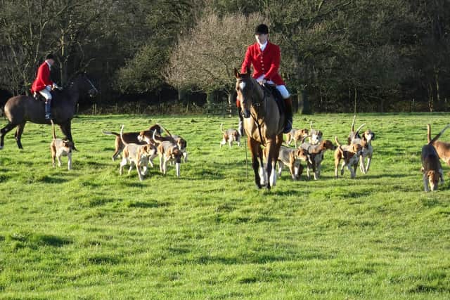 Horses and hounds from the Holderness Hunt
