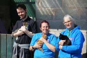 Vinnie Johnstone with Eddie the Kitten, Sue Curran with Tiger Lilly and Tray Morris with Elsa outside Pennie Animal Rescue.