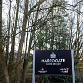 Harrogate Spring Water says it is finalising latest expansion plans for its bottled water plant.