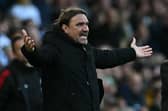 INJURIES: Leeds United's Daniel Farke (Image: Paul ELLIS / AFP via Getty Images)