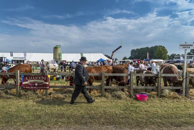 Peter Farmery, Chief Cattle Steward at the 141st Driffield Show in 2016. Picture: James Hardisty.
