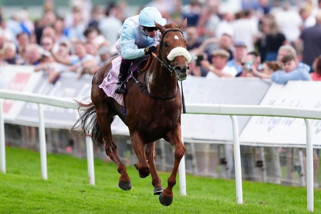 REPEAT SHOW: Giavellotto ridden by Oisin Murphy coming home to win the Boodles Yorkshire Cup Stakes at York. Picture: Mike Egerton/PA