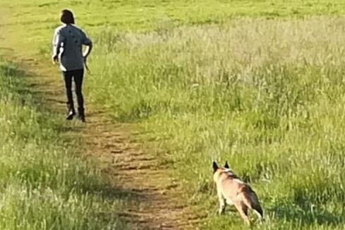 Police release photo of woman and her dog after 'out of control ...