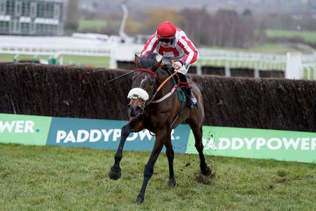 Double up?: Paddy Neville’s Grade 1-winning chaser The Real Whacker won the Grade 2 bet365 Charlie Hall Chase at Wetherby in 2024. (Photo by Alan Crowhurst/Getty Images)