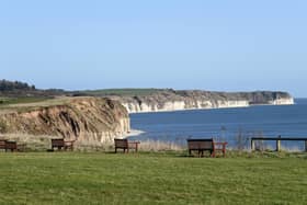 The dramatic cliffs on the east Yorkshire coastline between Sewerby and Bridlington. Picture by Simon Hulme.