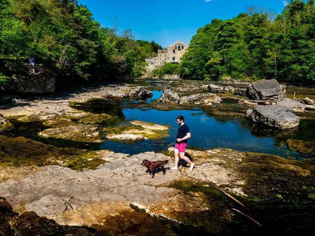 Jon Dover, from Oxfordshire, walks his dog Rolo in the middle of Aysgarth Falls, near Leyburn, North Yorkshire. These famous falls, once visited by Wordsworth and sketched by Turner, and used in Robin Hood: Prince of Thieves, are now almost dry due to low spring rainfall. Picture: James Hardisty