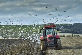 A farm tractor ploughing a field in autumn surrounded by feeding gulls. Picture: Adobe Stock