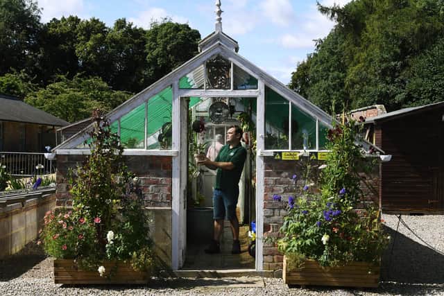 Andy Karavics, head gardener, in the restored orchid house.