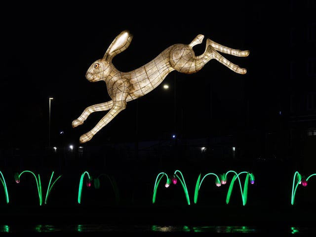 The Awakening light festival in Hull. Lantern Company's Nature Nocturnal captured by The Yorkshire Post photographer Jonathan Gawthorpe.