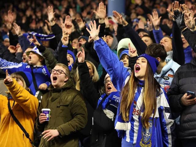 FAN FARE: Sheffield Wednesday show their support from the Hillsborough stands in the recent Championship derby with Leeds United