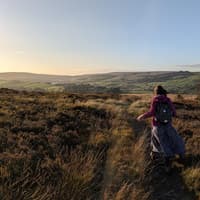 Arts and nature to be celebrated as Bradford builds on City of Culture year