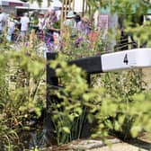 The garden was inspired by walks on the canal near her Yorkshire home