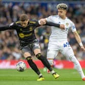 BOUNCING BACK: Leeds United and Southampton recovered from demoralising relegations to finish in a Championship atop four which also featured Leicester City
