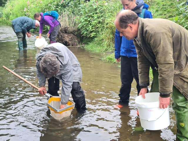 Yorkshire Dales River Trust volunteers learning Riverfly monitoring.