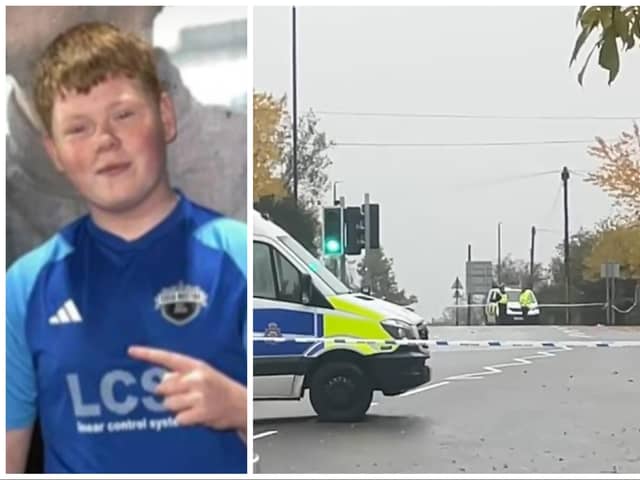 Alfie Lewis died after being stabbed in Horsforth. (pics by WYP / National World)
