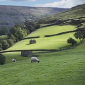 Levelling up rural opportunities in places like Swaledale could bring a boost to the nation, leaders have said.