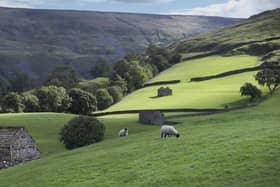 Levelling up rural opportunities in places like Swaledale could bring a boost to the nation, leaders have said.