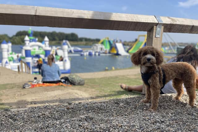 North Yorkshire Water Park: Splash, play and have a family adventure with your dog