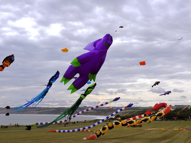 Professional kite flyer Ernie Williamson with his kite