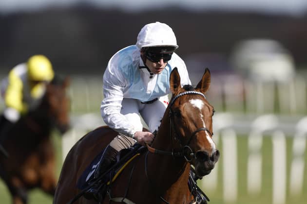Double delight: King Of Spain ridden by Rowan Scott was part of a winning double for Osmotherley trainer Gemma Tutty at Doncaster over the weekend.Picture: Nigel French/PA Wire.