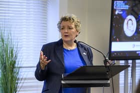 Liz Whitefield of HIppo at the conference