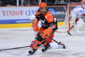 BACK FOR MORE: Sheffield Steelers defender Matt Petgrave. Picture courtesy of Dean Woolley/Steelers Media.