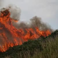 Wildfires: ban barbecues and fund fire-fighting planes, MPs urge