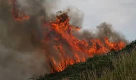 File pic: The Langdale Moor fire last August. Credit: Getty | Getty Images