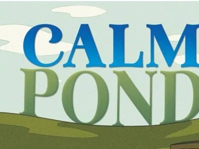 The cover of my book Calm Pond