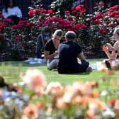People sit out and enjoy the sunshine at Park Square, Leeds. Picture taken by Yorkshire Post Photographer Simon Hulme 4th September 2023



