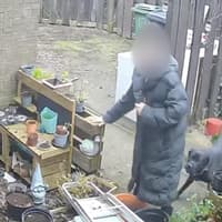 Man has ‘lucky escape’ after neighbour’s Cane Corso bit his neck