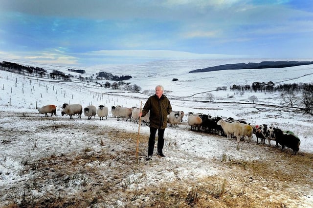 Farmer Chris Clark, of Buckden, keeps a watch on his flock in the middle of the Yorkshire Dales.