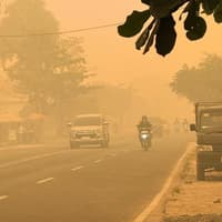 ‘You can’t escape the impact’: Leeds research team working to understand impact of huge Borneo wildfires