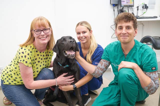 Kerry Gibbon and her Labrador Indy, at Ashlands Veterinary Centre in Ilkley with veterinary nurse Megan Fowler and vet Stuart Black, who helped saved his life.  Picture: Ashlands Veterinary Centre