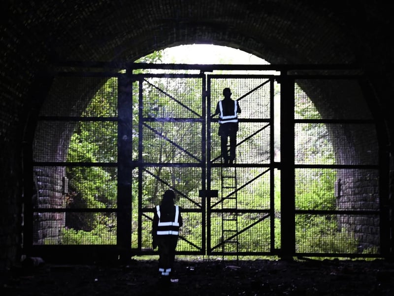 The Greenside Tunnel Open Days