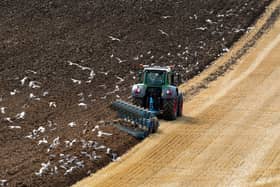 Flock of seagulls following a tractor on farmland in North Yorkshire