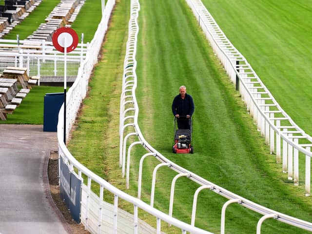 The winning post: Neil Rankeillor cuts the grass in preperation for the four-day Ebor Festival at York Racecourse, one of the highlights of the summer’s racing calendar. The highlight of day one is Frankie Dettori’s bid to win the Juddmonte International for a sixth time.