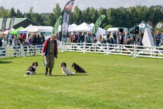 Always a popular attraction for visitors, the Gundog Field will play host to both demonstration and competitions throughout the weekend.