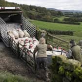 Sheep farmers at work in Yorkshire. Farming in the region is being covered in a series of radio broadcasts aiming to highlight the work of farmers and food produce from Yorkshire.