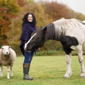 Therapist and author Grace Olson with some of her animals.