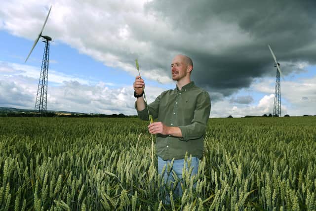 Denby Hall Farm, an organic arable farm producing healthy nutritious crops including cereals. Rob Fraser checks on the winter wheat.