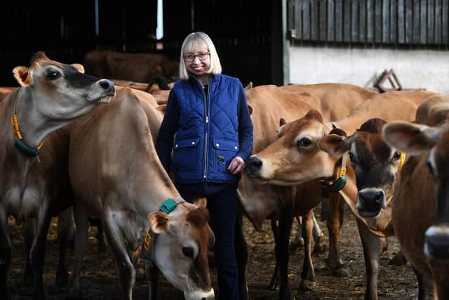 Helen Stanier with her Jersey herd at Grey Leys Farm, Elvington.