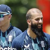 Don't panic: England's Moeen Ali (L) gestures after dismissing South Africa's Temba Bavuma (not seen) during the first one day international (ODI) cricket match between South Africa and England at Mangaung Oval in Bloemfontein (Picture: MARCO LONGARI/AFP via Getty Images)
